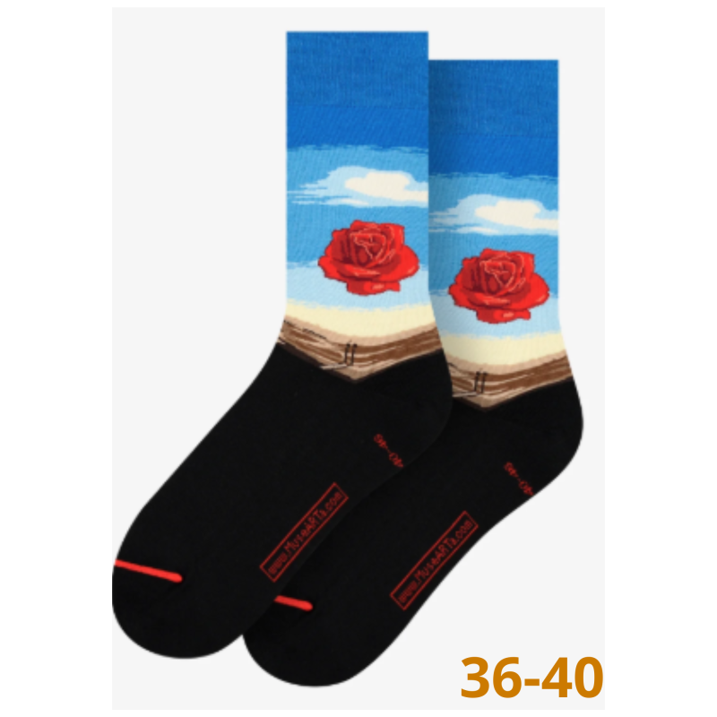 Chaussettes Salvador Dalí - taille 36/40