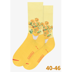 Chaussettes Vincent van Gogh - taille 40/46
