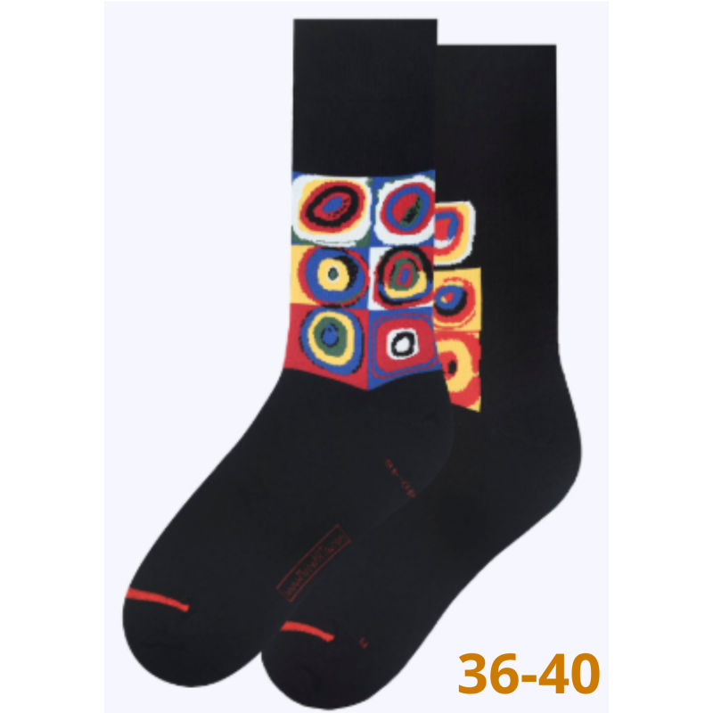 Chaussettes Vassily Kandinsky - Taille 36/40