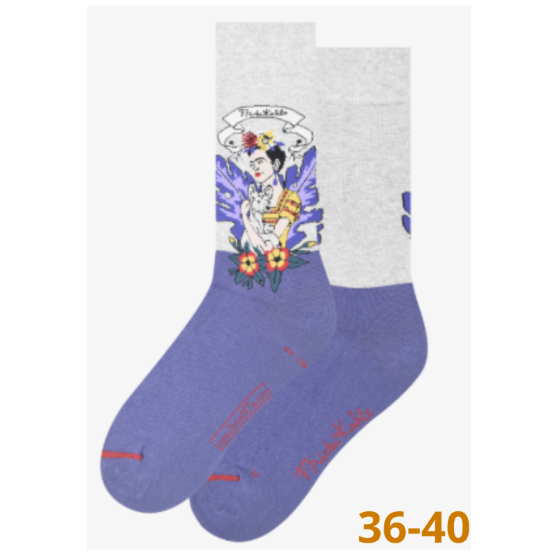 Chaussettes Frida Kahlo - Taille 36/40
