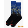 Chaussettes Van Gogh 36-40 | Fondation Pierre Gianadda, Martigny