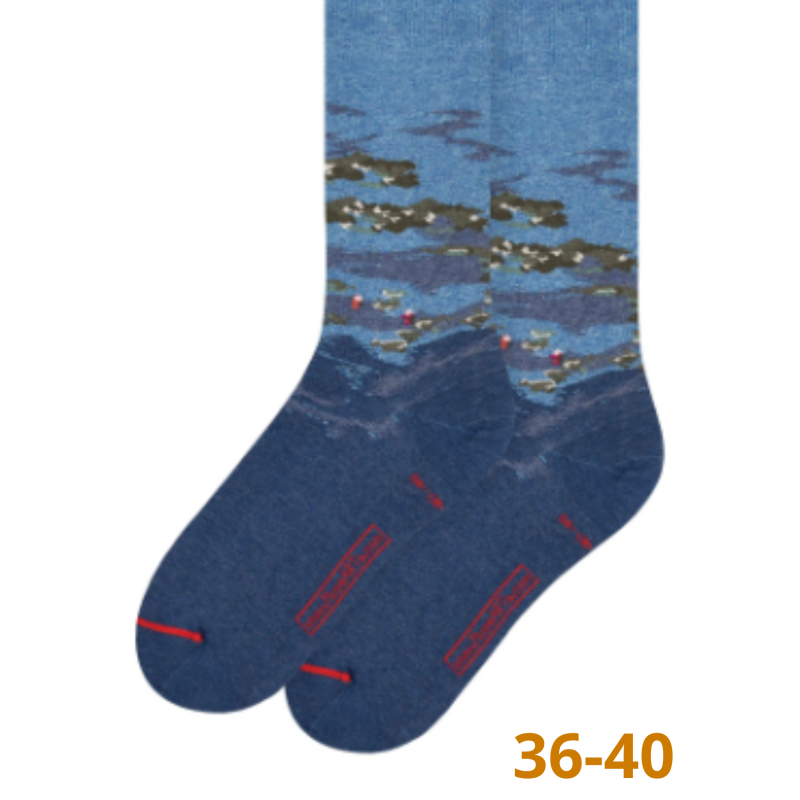 Kopie von Chaussettes Claude Monet - Taille 36/40