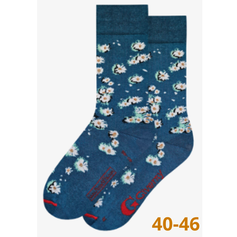 Kopie von Chaussettes Frida Kahlo - Taille 36/40