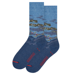 Chaussettes Claude Monet - taille 40/46