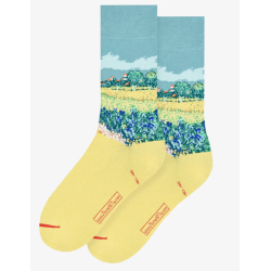Chaussettes Vincent van Gogh - taille 40/46