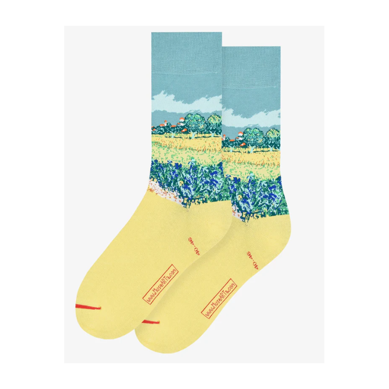 Chaussettes Vincent van Gogh - taille 40/46