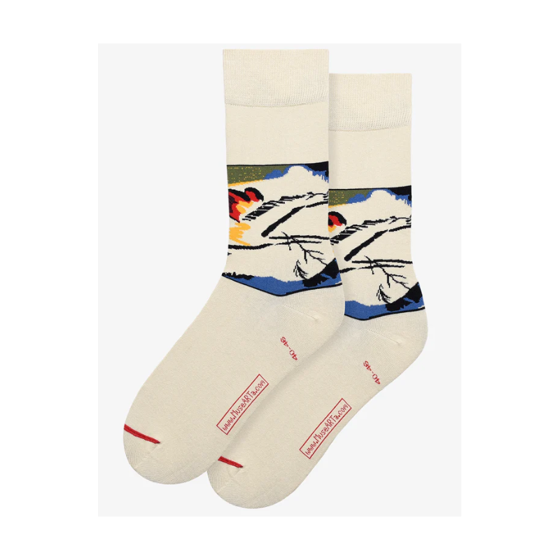 Chaussettes Vasily Kandinsky - taille 36/40