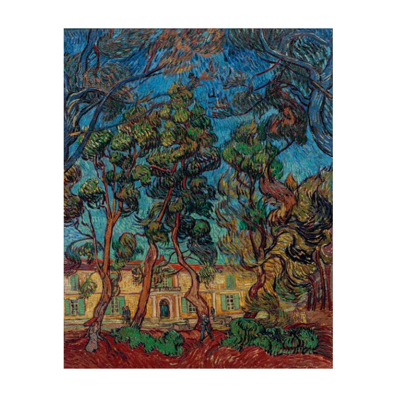 Poster - Vincent van Gogh L’HÔPITAL À SAINT-REMY 1889