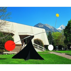 Billet adulte - Dès le 26 juin 2026 | Fondation Pierre Gianadda, Martigny